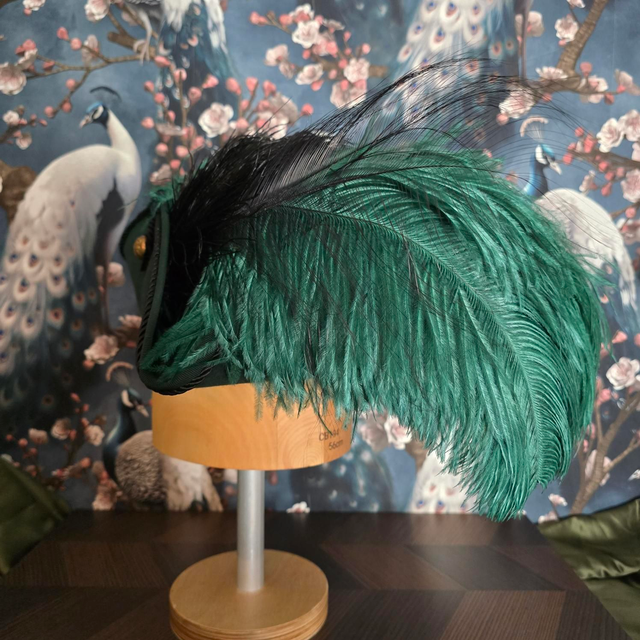 Tricorne – Panache